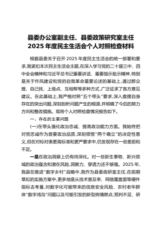 县委办公室副主任、县委政策研究室主任2025年度民主生活会个人对照检查材料（五个带头+典型案例剖析）