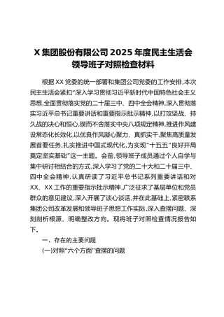 X集团股份有限公司2025年度民主生活会领导班子对照检查材料（六个带头方面+巡视整改责任情况+典型案例剖析）