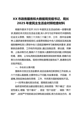 XX市政务服务和大数据局党组书记、局长2025年度民主生活会对照检查材料（六个带头方面+典型案例剖析）