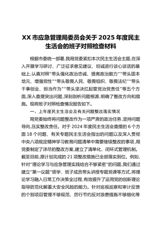 XX市应急管理局委员会关于2025年度民主生活会的班子对照检查材料（上年度有关问题整改落实情况+五个带头+典型案例剖析）