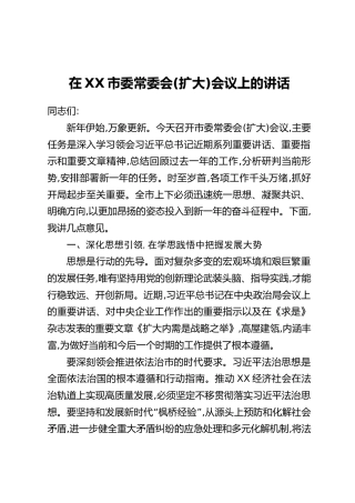 在XX市委常委会(扩大)会议上的讲话（3）