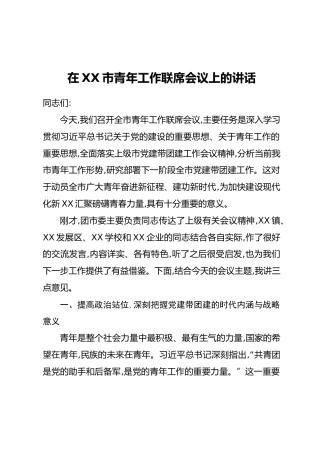 在XX市青年工作联席会议上的讲话