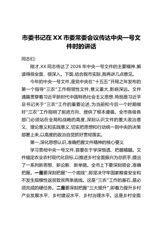 市委书记在XX市委常委会议传达中央一号文件时的讲话
