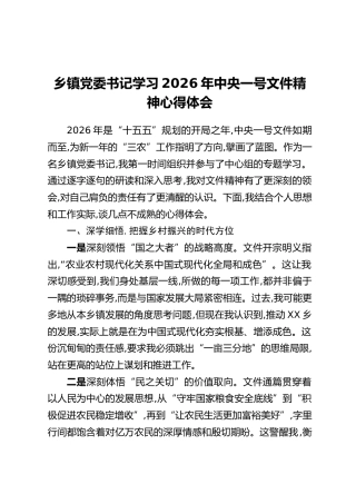 乡镇党委书记学习2026年中央一号文件精神心得体会