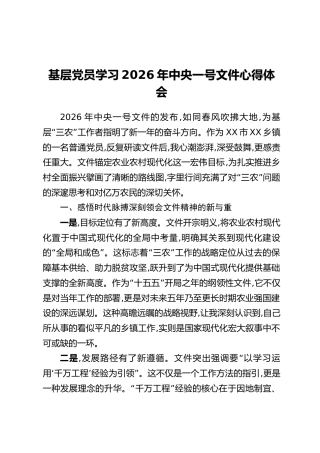 基层党员学习2026年中央一号文件心得体会