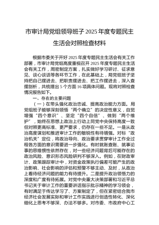 市审计局党组领导班子2025年度专题民主生活会对照检查材料