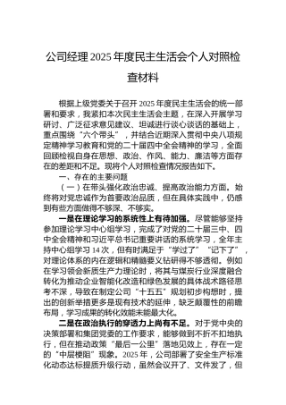公司经理2025年度民主生活会个人对照检查材料