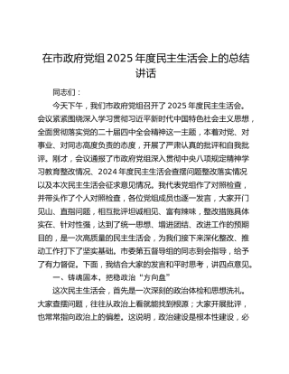 在市政府党组2025年度民主生活会上的总结讲话