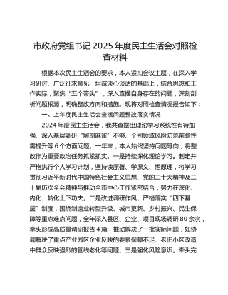 市政府党组书记2025年度民主生活会对照检查材料（上年度查摆问题整改落实情况+五个带头）