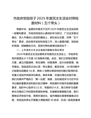市政府党组班子2025年度民主生活会对照检查材料（五个带头）