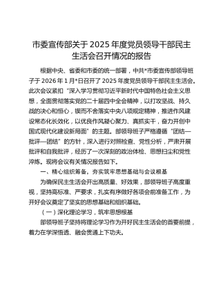 市委宣传部关于2025年度党员领导干部民主生活会召开情况的报告