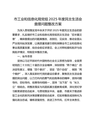 市工业和信息化局党组2025年度民主生活会查摆问题整改方案