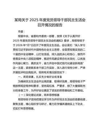某局关于2025年度党员领导干部民主生活会召开情况的报告