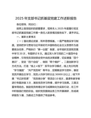 2025年支部书记抓基层党建工作述职报告