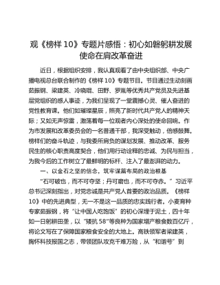 观《榜样10》专题片感悟：初心如磐躬耕发展  使命在肩改革奋进