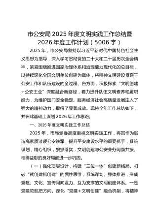 市公安局2025年度文明实践工作总结暨2026年度工作计划要点