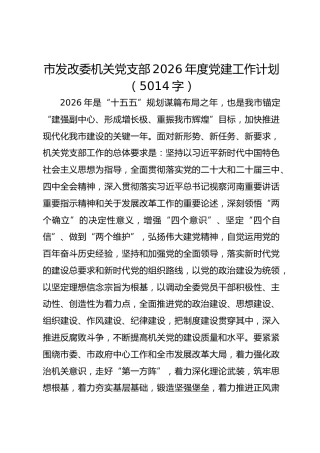 市发改委机关党支部2026年度党建工作计划要点