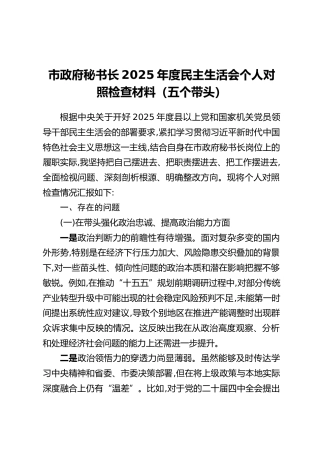 市政府秘书长2025年度民主生活会个人对照检查材料（五个带头）
