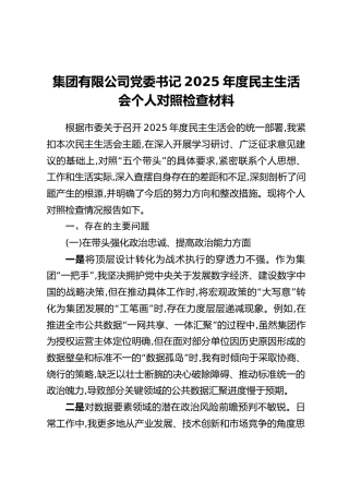 集团有限公司党委书记2025年度民主生活会个人对照检查材料