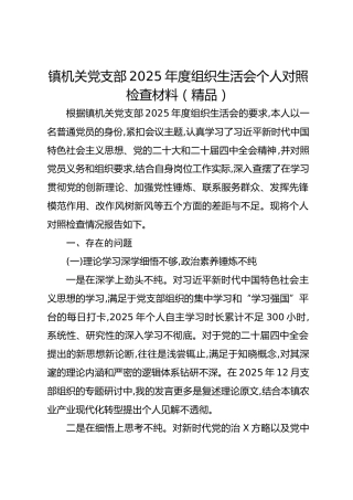 镇机关党支部2025年度组织生活会个人对照检查材料