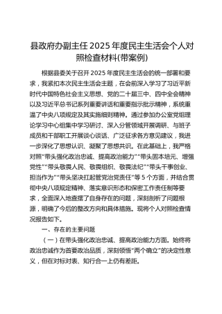 县政府办副主任2025年度民主生活会个人对照检查材料(带案例)