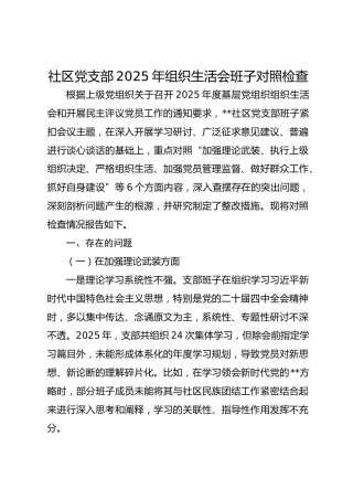 社区党支部2025年组织生活会班子对照检查