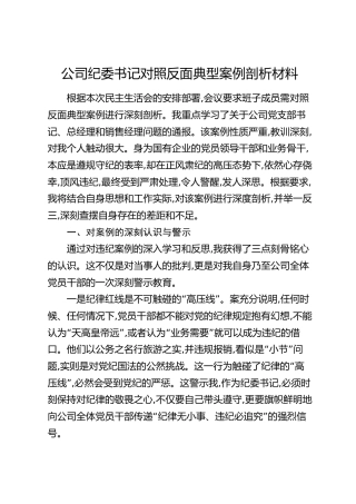 公司纪委书记对照反面典型案例剖析材料