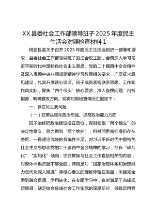 XX县委社会工作部领导班子2025年度民主生活会对照检查材料1