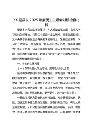 XX副县长2025年度民主生活会对照检查材料