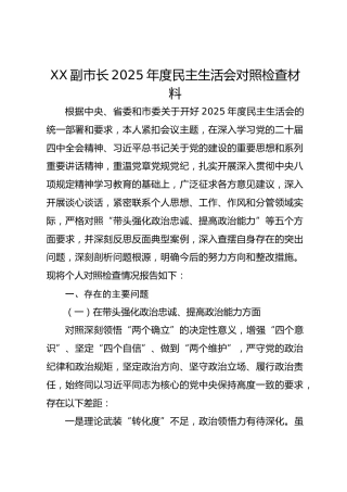 XX副市长2025年度民主生活会对照检查材料