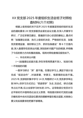 XX党支部2025年度组织生活会班子对照检查材料(六个对照)
