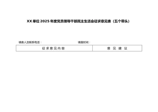XX单位2025年度党员领导干部民主生活会征求意见表（五个带头）