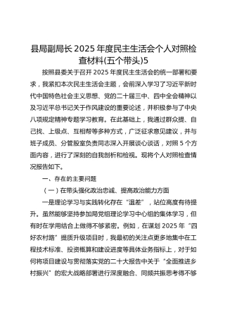 县局副局长2025年度民主生活会个人对照检查材料(五个带头)5