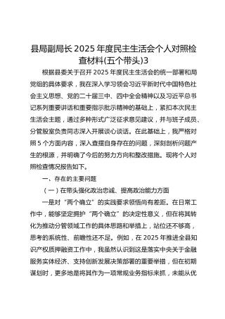 县局副局长2025年度民主生活会个人对照检查材料(五个带头)3