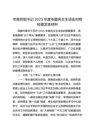 市局党组书记2025年度专题民主生活会对照检查发言材料