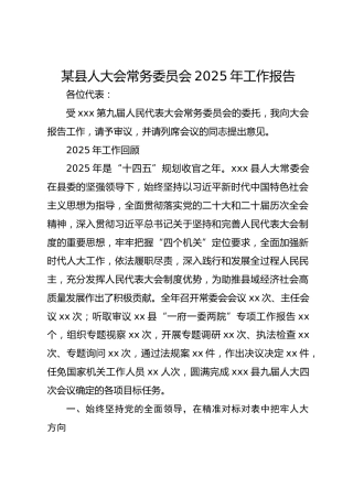 某县人大会常务委员会2025年工作报告