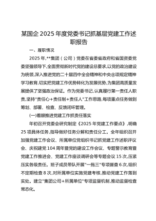 某国企2025年度党委书记抓基层党建工作述职报告