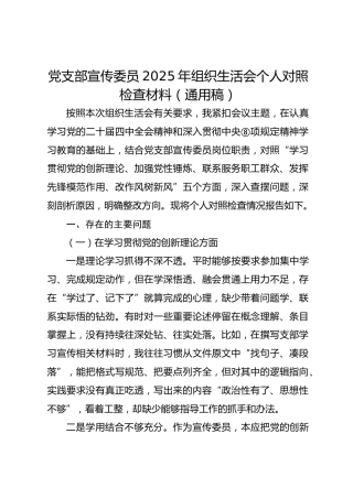 党支部宣传委员2025年组织生活会个人对照检查材料（通用稿）