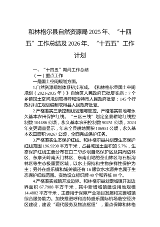 和林格尔县自然资源局2025年、“十四五”工作总结及2026年、“十五五”工作计划