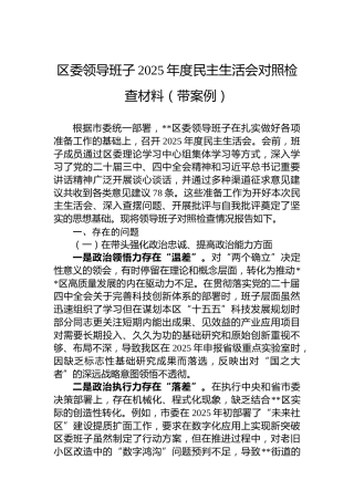区委领导班子2025年度民主生活会对照检查材料（带案例）