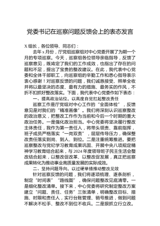 党委书记在巡察问题反馈会上的表态发言