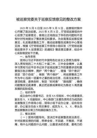 被巡察党委关于巡察反馈意见的整改方案