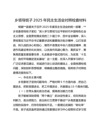 乡领导班子2025年民主生活会对照检查材料（五个带头）