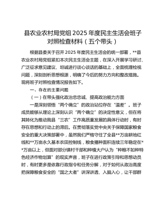 县农业农村局党组2025年度民主生活会班子对照检查材料（五个带头）