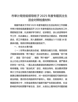 市审计局党组领导班子2025年度专题民主生活会对照检查材料（五个带头）