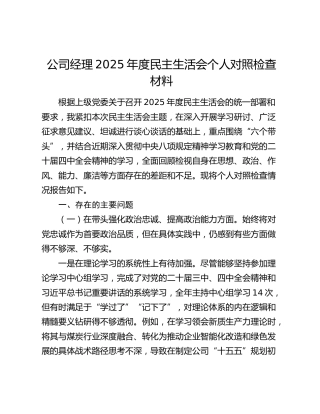 公司经理2025年度民主生活会个人对照检查材料（五个带头+意识形态+典型案例剖析）