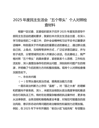 2025年度民主生活会“五个带头”个人对照检查材料