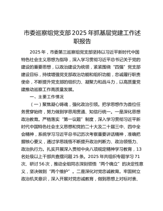 市委巡察组党支部2025年抓基层党建工作述职报告