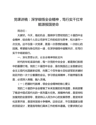 党课讲稿：深学细悟全会精神  笃行实干扛牢能源报国使命