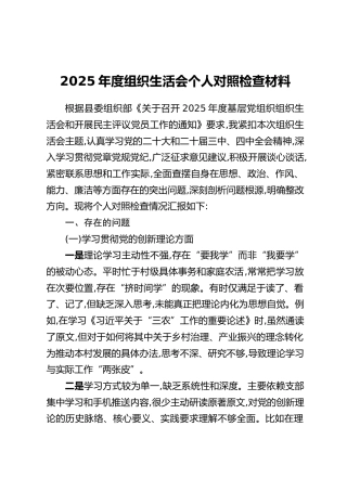 2025年度组织生活会个人对照检查材料（五个方面对照）
